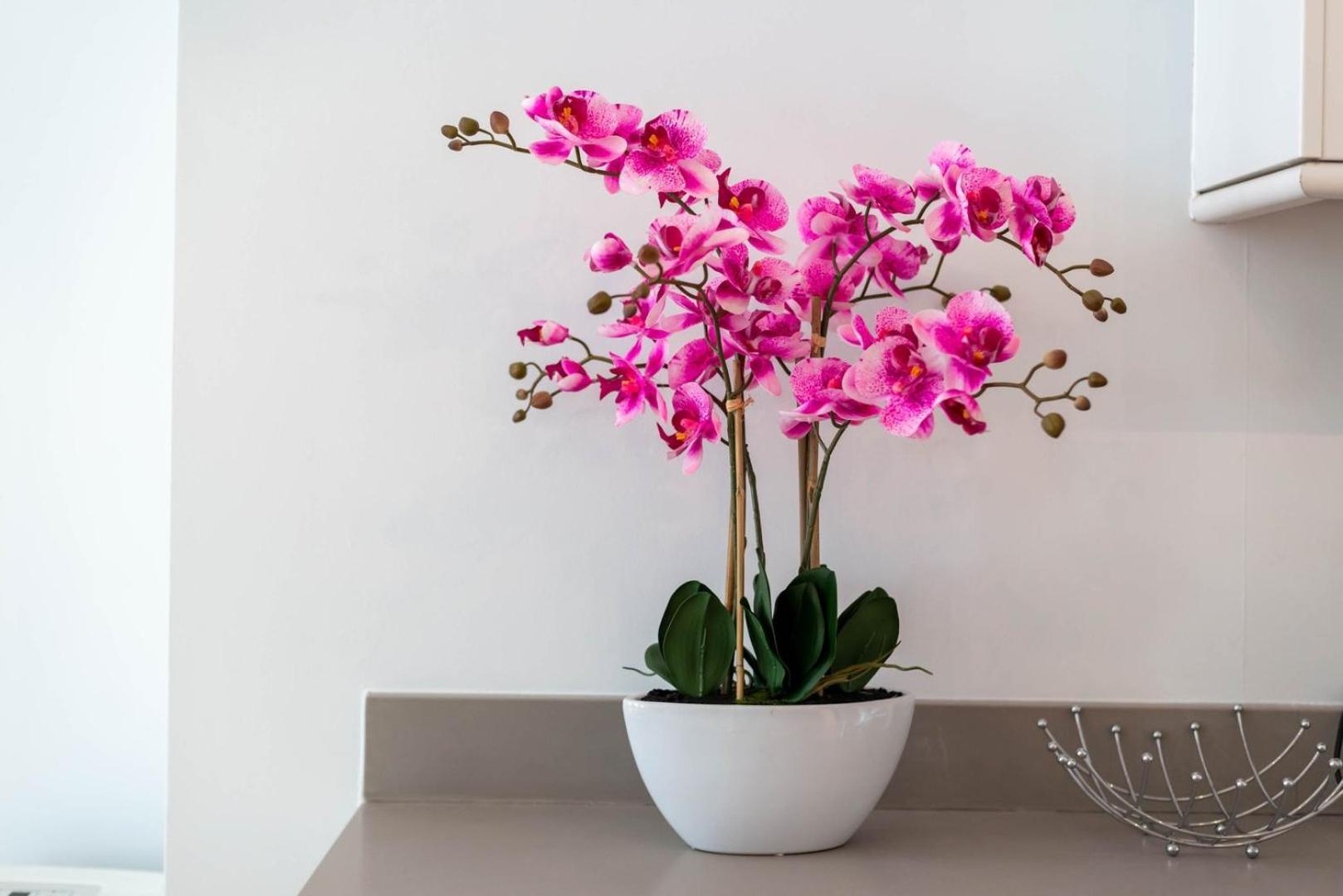 Guestready - Stunning Covent Garden 2Br Duplex Apartman London Kültér fotó